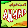 Ahmed Abdel-Aleem
