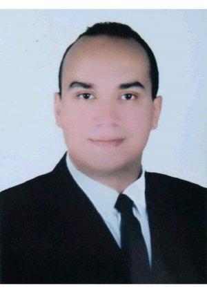 Dr. Noureldein Ibrahim